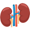 High Creatinine?